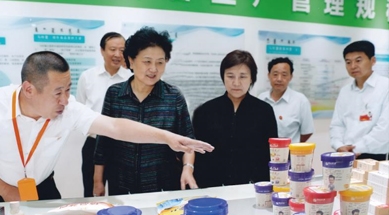 原中共中央政治局委員、國(guó)務(wù)院副總理劉延?xùn)|視察我公司