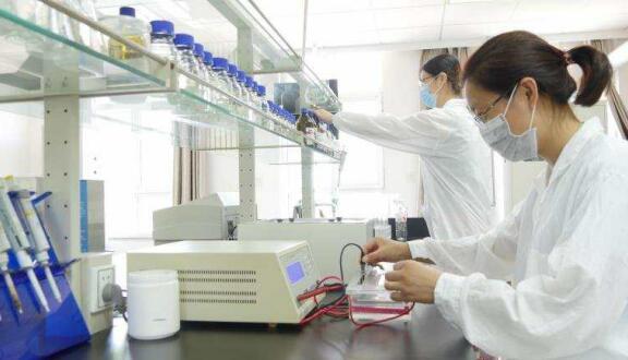 一個(gè)女企業(yè)家的現(xiàn)代農(nóng)業(yè)之夢——訪領(lǐng)先生物農(nóng)業(yè)股份有限公司董事長徐志文 一個(gè)女企業(yè)家的現(xiàn)代農(nóng)業(yè)之夢——訪領(lǐng)先生物農(nóng)業(yè)股份有限公司董事長徐志文