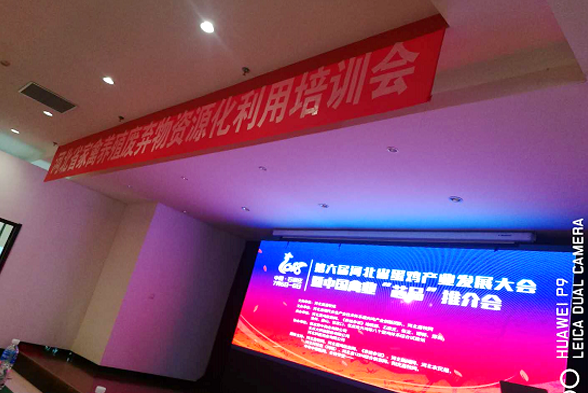 領(lǐng)先康地參加第六屆(2018)河北省蛋雞產(chǎn)業(yè)發(fā)展大會 暨中國禽業(yè)“芯品”推介會 領(lǐng)先康地參加第六屆(2018)河北省蛋雞產(chǎn)業(yè)發(fā)展大會 暨中國禽業(yè)“芯品”推介會